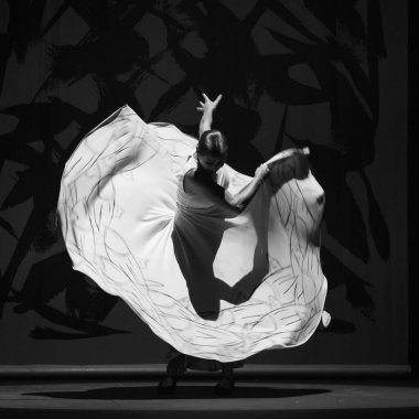 İspanyol flamenko dansçısı Sara Baras, 5 Eylül 2024 tarihinde İspanya 'nın Madrid kentindeki Teatro Gran Va' da 'Vuela' adlı yeni şovunda sahne aldı.