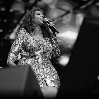 Şarkıcı Gloria Gaynor, 12 Ekim 2024 tarihinde İspanya 'nın Madrid şehrinde düzenlenen Never Can Say Goodbye turnesi sırasında konser verdi.