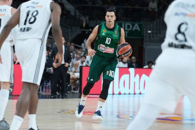 Panathinaikos takımından Kostas Sloukas, 17 Ekim 2024 'te Madrid' de oynanan Real Madrid ile Panathinaikos Atina arasında oynanan Türk Hava Yolları EuroLeague Düzenli karşılaşmasında