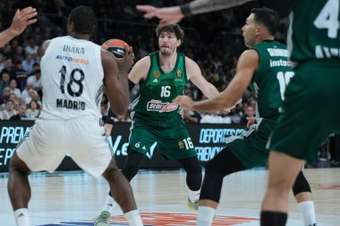 Panathinaikos 'tan Dimitris Moraitis, 17 Ekim 2024' te Madrid 'de oynanan Real Madrid ile Panathinaikos Atina arasında oynanan Türk Hava Yolları EuroLeague Düzenli karşılaşması sırasında İspanya' nın başkenti WiZink 'te görülüyor.