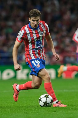Julian Alvarez UEFA Şampiyonlar Ligi maçında 23 Ekim 2024 'te İspanya' nın başkenti Madrid 'deki stadyumda Atletico de Madrid ile LOSC Lille arasında maç yaptı..