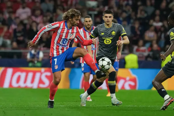 Antoine Griezmann UEFA Şampiyonlar Ligi maçında Atletico de Madrid ve LOSC Lille arasında 23 Ekim 2024 'te Madrid, İspanya' da oynanan stadyumda maç yapmaktadır..