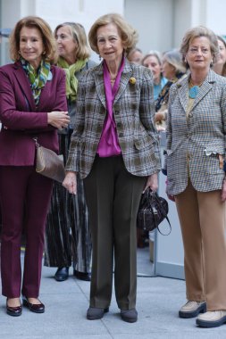 Kraliçe Sofya, 15 Kasım 2024 'te İspanya' da bulunan Palacio de Cibeles 'deki Nuevo Futuro yardım pazarını ziyaret etti.