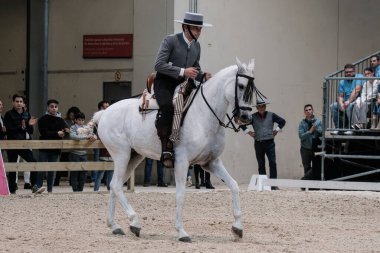 Madrid At Haftası 'nda, 30 Kasım 2024' te İspanya 'nın Madrid kentinde düzenlenen doma vaquera yarışında bir binici ve atı.