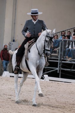 Madrid At Haftası 'nda, 30 Kasım 2024' te İspanya 'nın Madrid kentinde düzenlenen doma vaquera yarışında bir binici ve atı.
