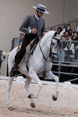 Madrid At Haftası 'nda, 30 Kasım 2024' te İspanya 'nın Madrid kentinde düzenlenen doma vaquera yarışında bir binici ve atı.