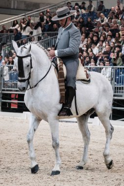 Madrid At Haftası 'nda, 30 Kasım 2024' te İspanya 'nın Madrid kentinde düzenlenen doma vaquera yarışında bir binici ve atı.
