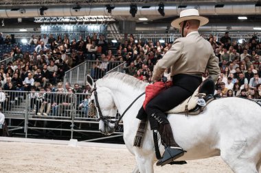 A rider and his horse during the doma vaquera competition at Madrid Horse Week, at IFEMA, on November 30, 2024 in Madrid, Spain. clipart