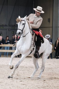 Madrid At Haftası 'nda, 30 Kasım 2024' te İspanya 'nın Madrid kentinde düzenlenen doma vaquera yarışında bir binici ve atı.