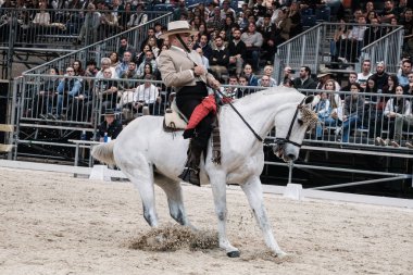 Madrid At Haftası 'nda, 30 Kasım 2024' te İspanya 'nın Madrid kentinde düzenlenen doma vaquera yarışında bir binici ve atı.