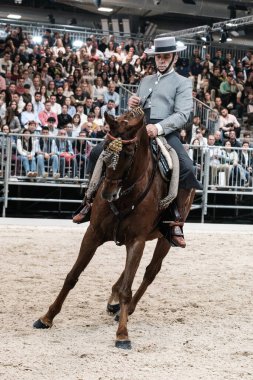 Madrid At Haftası 'nda, 30 Kasım 2024' te İspanya 'nın Madrid kentinde düzenlenen doma vaquera yarışında bir binici ve atı.