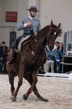 Madrid At Haftası 'nda, 30 Kasım 2024' te İspanya 'nın Madrid kentinde düzenlenen doma vaquera yarışında bir binici ve atı.