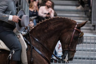 Madrid At Haftası 'nda, 30 Kasım 2024' te İspanya 'nın Madrid kentinde düzenlenen doma vaquera yarışında bir binici ve atı.