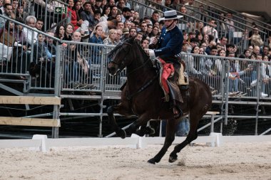 A rider and his horse during the doma vaquera competition at Madrid Horse Week, at IFEMA, on November 30, 2024 in Madrid, Spain. clipart