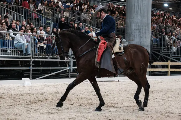 Madrid At Haftası 'nda, 30 Kasım 2024' te İspanya 'nın Madrid kentinde düzenlenen doma vaquera yarışında bir binici ve atı.