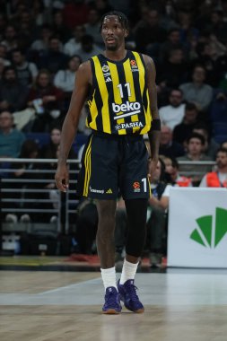 Fenerbahçe İstanbul 'dan Nigel Hayes Davis, Real Madrid ile Fenerbahçe Beko İstanbul arasında oynanan Türk Hava Yolları Düzenli Sezonu 14. Raund karşılaşmasında, 5 Aralık 2024 tarihinde İspanya' nın başkenti Madrid 'de oynanan WiZinkCenter' da oynanacak.