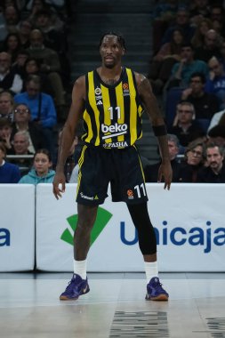 Fenerbahçe İstanbul 'dan Nigel Hayes Davis, Real Madrid ile Fenerbahçe Beko İstanbul arasında oynanan Türk Hava Yolları Düzenli Sezonu 14. Raund karşılaşmasında, 5 Aralık 2024 tarihinde İspanya' nın başkenti Madrid 'de oynanan WiZinkCenter' da oynanacak.