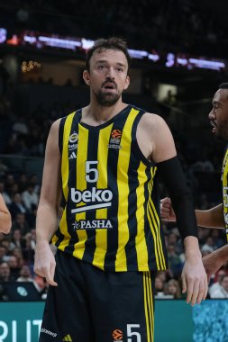 Fenerbahçe İstanbul 'dan Sertac Sanli, Real Madrid ile Fenerbahçe Beko İstanbul arasında oynanan Türk Hava Yolları Düzenli Sezonu 14. Raund karşılaşmasında, 05 Aralık 2024 tarihinde İspanya' nın başkenti Madrid 'de oynanan WiZinkCenter' da oynanacak.