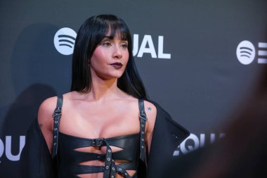 Aitana, 10 Aralık 2024 'te Madrid' deki Yeşil Bahçe 'deki Spotify Gala yardım derneğinin fotoğraf çekimine katıldı.