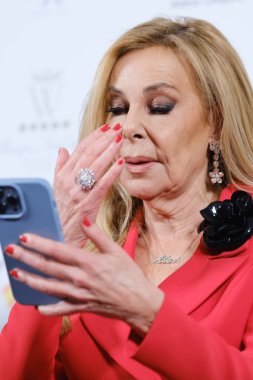 Ana Obregon, 12 Aralık 2024 tarihinde Madrid 'de Wellington Oteli' nde bir fotoğraf çekimine katılır.