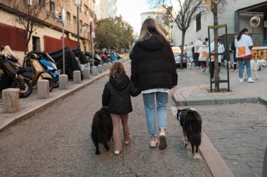 2024 San Perrestre yarışı boyunca köpekleriyle birlikte Madrid 'in merkezinden 30 Aralık 2024' te İspanya