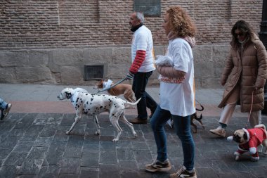 2024 San Perrestre yarışı boyunca köpekleriyle birlikte Madrid 'in merkezinden 30 Aralık 2024' te İspanya