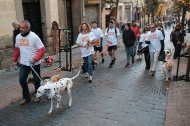 2024 San Perrestre yarışı boyunca köpekleriyle birlikte Madrid 'in merkezinden 30 Aralık 2024' te İspanya