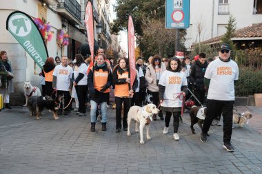 2024 San Perrestre yarışı boyunca köpekleriyle birlikte Madrid 'in merkezinden 30 Aralık 2024' te İspanya