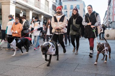 2024 San Perrestre yarışı boyunca köpekleriyle birlikte Madrid 'in merkezinden 30 Aralık 2024' te İspanya