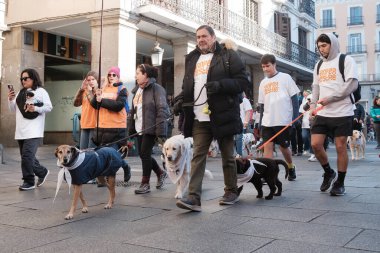 2024 San Perrestre yarışı boyunca köpekleriyle birlikte Madrid 'in merkezinden 30 Aralık 2024' te İspanya
