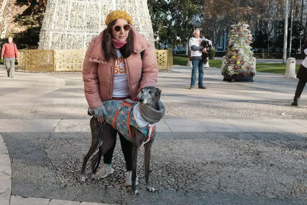 2024 San Perrestre yarışı boyunca köpekleriyle birlikte Madrid 'in merkezinden 30 Aralık 2024' te İspanya