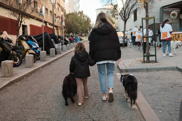 2024 San Perrestre yarışı boyunca köpekleriyle birlikte Madrid 'in merkezinden 30 Aralık 2024' te İspanya