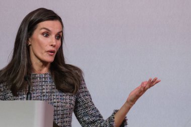 İspanya Kraliçesi Letizia, BBVA Mikrofinans Vakfı tarafından 15 Ocak 2025 tarihinde Madrid 'de Marqus de Salamanca Sarayı' nda düzenlenen 