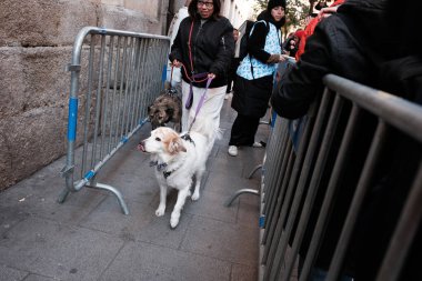 İnsanlar, 17 Ocak 2025 'te Madrid' deki San Anton Kilisesi 'ndeki San Anton Abad Günü' nde (hayvanların koruyucu azizi Aziz Anthony) evcil hayvanlarını kutsanmak üzere getirirler.
