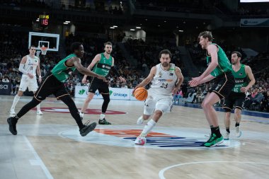 Real Madrid 'den Sergio Llull, Real Madrid ve Joventut Badalona arasında 2 Şubat 2025 tarihinde Madrid, İspanya' da oynanan maçta.