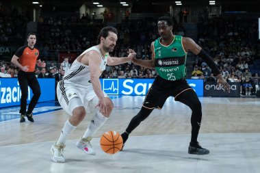 Real Madrid 'den Sergio Llull, Real Madrid ve Joventut Badalona arasında 2 Şubat 2025 tarihinde Madrid, İspanya' da oynanan maçta.