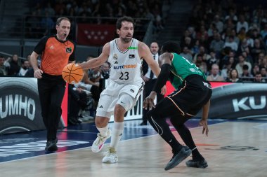 Real Madrid 'den Sergio Llull, Real Madrid ve Joventut Badalona arasında 2 Şubat 2025 tarihinde Madrid, İspanya' da oynanan maçta.