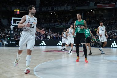 Real Madrid 'den Sergio Llull, Real Madrid ve Joventut Badalona arasında 2 Şubat 2025 tarihinde Madrid, İspanya' da oynanan maçta.