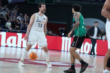 Real Madrid 'den Sergio Llull, Real Madrid ve Joventut Badalona arasında 2 Şubat 2025 tarihinde Madrid, İspanya' da oynanan maçta.