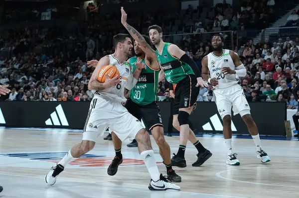 Real Madrid 'den Alberto Abalde, Real Madrid ve Joventut Badalona arasında 2 Şubat 2025 tarihinde Madrid, İspanya' da oynanan maçta.