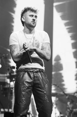 Şarkıcı Dani Fernandez, 8 Mart 2025 tarihinde Madrid 'de Yaren ile birlikte Movistar Arena' da bir konser verdi. 