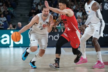 Real Madrid 'den Sergio Llull, Real Madrid ile UCAM Murcia arasında oynanan Liga Endesa maçı sırasında Madrid Movistar Arena' da 09 Mart 2025 tarihinde İspanya 'da oynanmıştır.