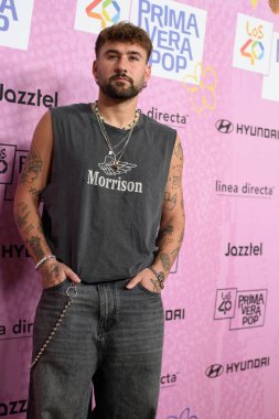 Dani Fernadez, Los Angeles Primavera Pop 2025 'te, Movistar Arena' da 11 Nisan 2025 'te İspanya' nın Madrid kentinde..