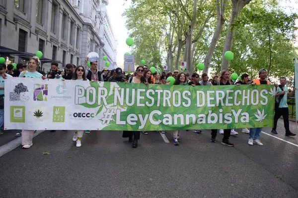 Madrid 'deki Küresel Marihuana Yürüyüşü sırasında 10 Mayıs 2025' te Plaza de Cibeles, İspanya