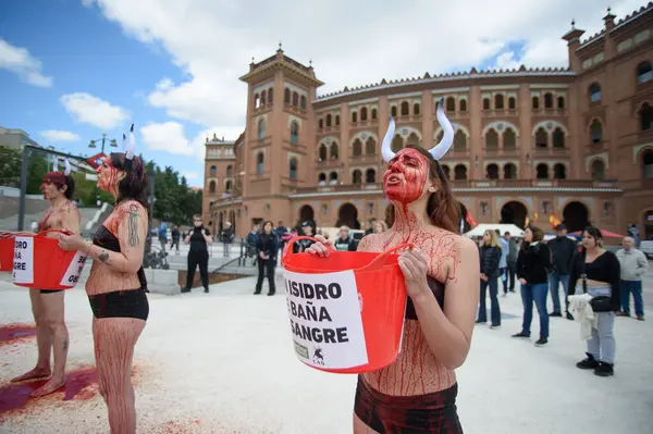 Boğa güreşini protesto eden insanlar 11 Mayıs 2025 'te Madrid' deki Las Ventas boks ringinin önünde kan taklidi yapmak için vücutlarına kırmızı boya döküyorlardı. İspanya