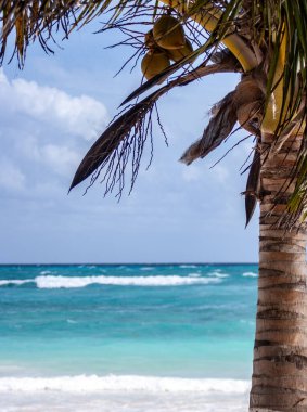 Meksika sahilinin mavi denizi Xpu-Ha