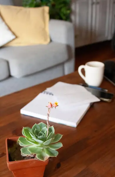 Plant in the foreground next to out-of-focus work elements. Work at home concept