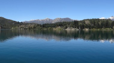 Nahuel Huapi Gölü 'nün yanında güzel yeşil bir ormanı olan Patagonya manzarası.