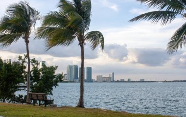 Miami şehri kıyısı. Modern Amerikan şehri manzarası. Amerikan turizm konsepti.