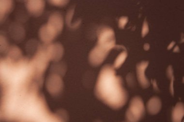 Arka plan duvarı yumuşak turuncu tonlarda ve gölgeli. Dokusu olan eski bir duvar. 